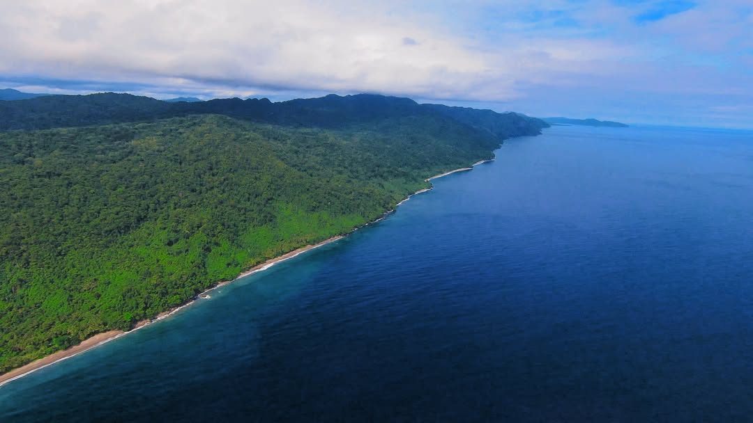 Snorkeling di perairan jernih